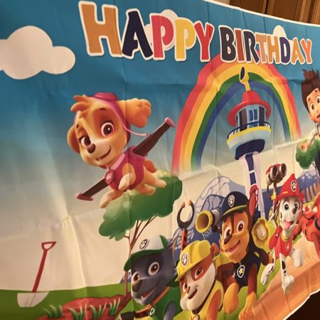 Paw Patrol Party Decorations Paw Patrol Balloons Paw Patrol Birthday Decorations
