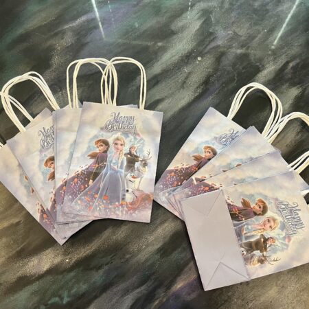 12PC Goody Bags  Disney Frozen Ana & Elsa Birthday Party Favors Gift Bags